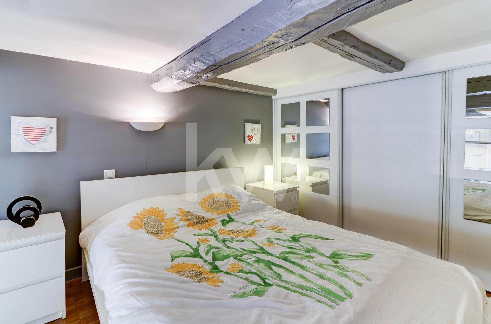 Spacieux Duplex - Zone Pietonne *